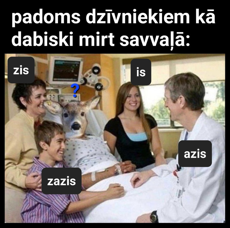 kein algogoļ