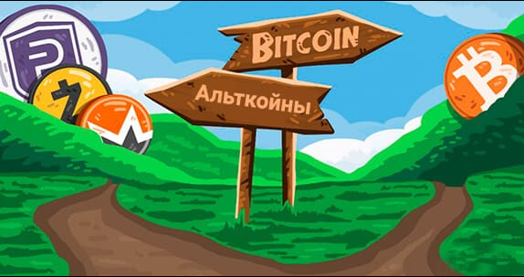 guide Советы по поиску перспективных альткойнов