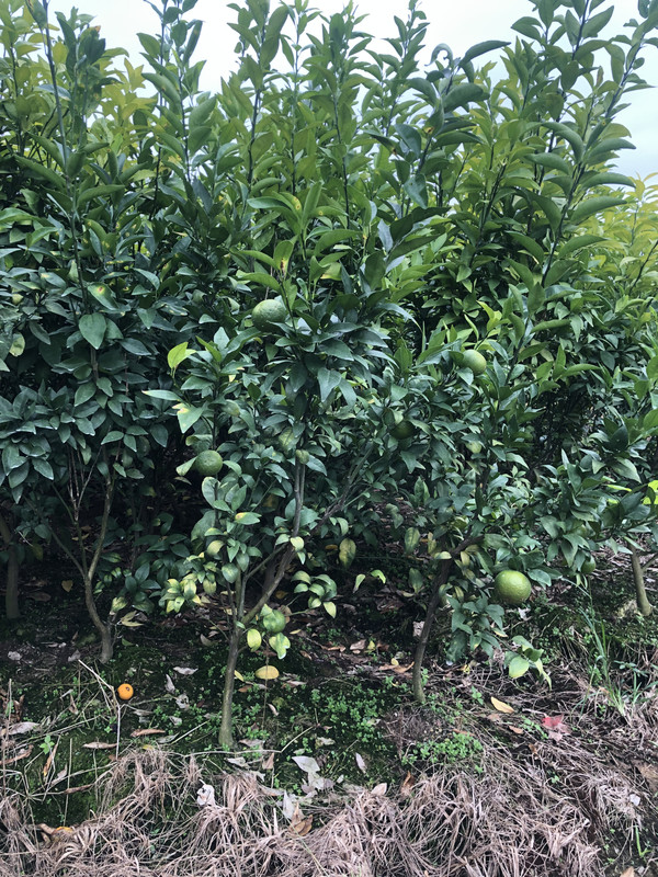 微信图片_20241030153426