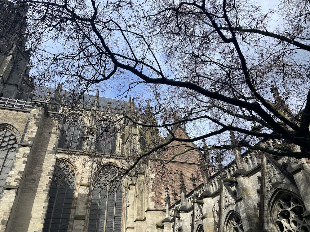 The view from the Cathedral garden