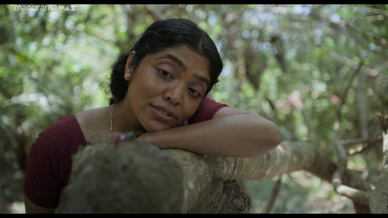 vlcsnap 2026 02 25 12h50m46s312