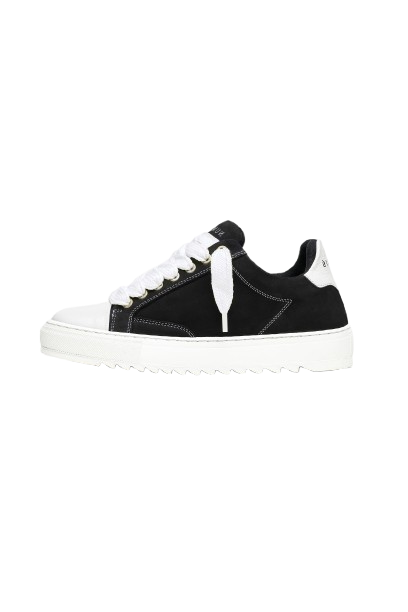 image removebg preview (1)