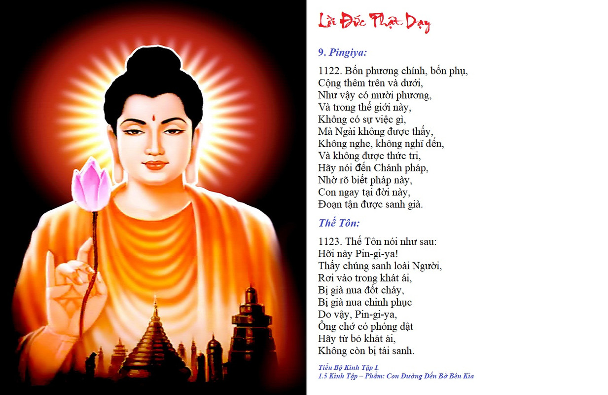 [Image: LDCDP-08262023.jpg]