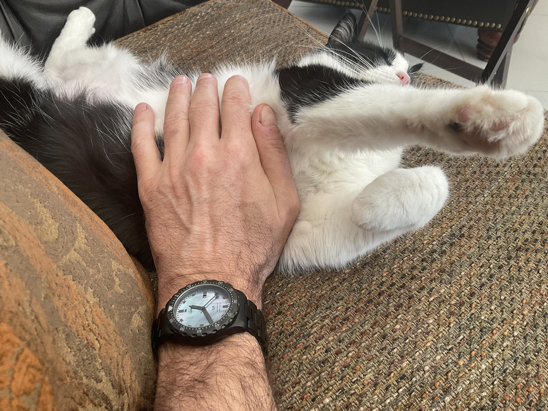 C5A5ED39-BCF7-4509-985E-5AA5D87B6A1F