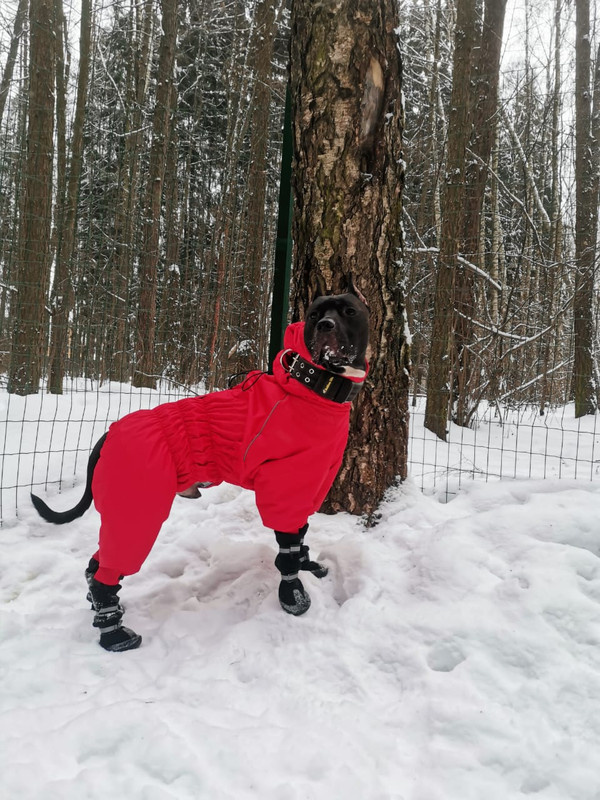 6EE9F955-3C6C-4A4E-8508-F0771E786869