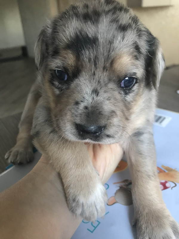 6C44D773-DCAA-4926-8A45-44D67AE1271C