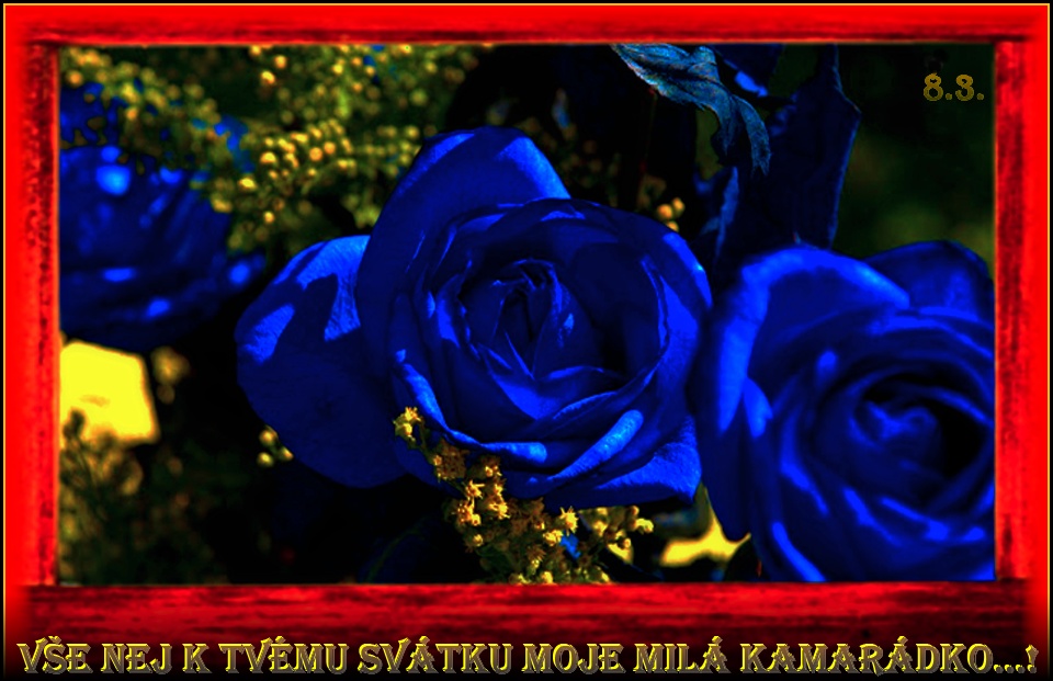 wallpapers-download-hd-blue-rose.jpg
