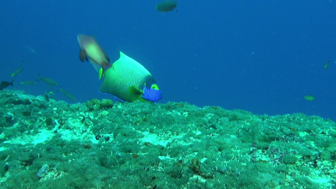 vlcsnap-2023-12-21-21h30m04s606