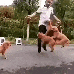 daily-gifdump-3405-14.gif