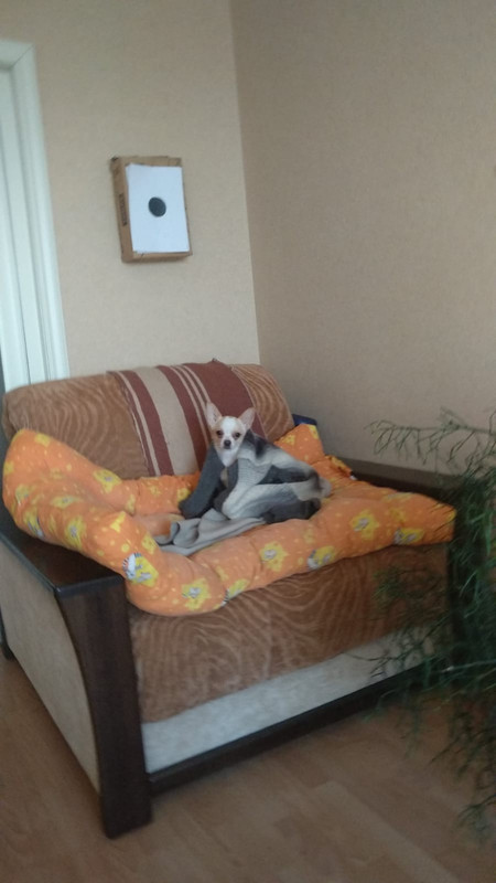 AB52DCF5-57C9-478B-9031-46AD86613F34