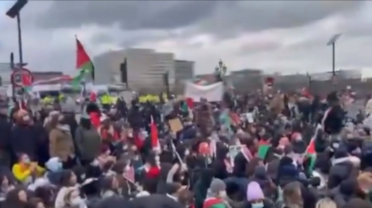 Inglaterra: Marcha multitudinaria pro Palestina se moviliza frente al Parlamento