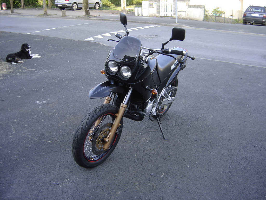 tdr lightburner remonté (2)