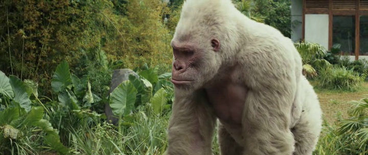 vlcsnap-2018-07-12-07h33m43s947