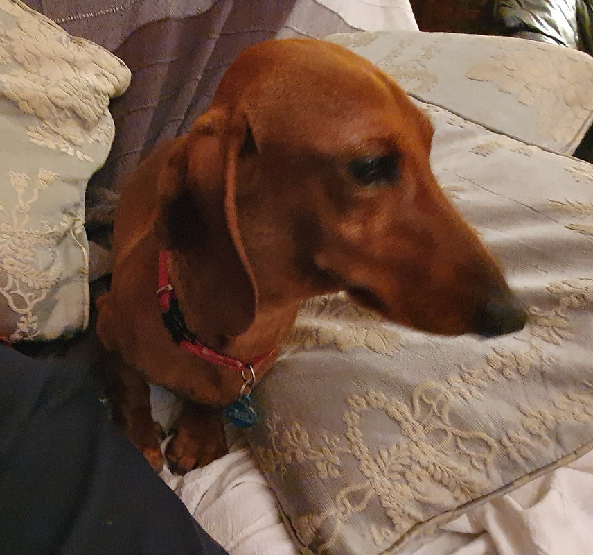 [Image: 20230219-185130.jpg]