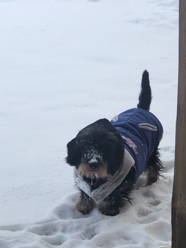 [Image: 63085708198-A06-BC574-9858-44-D6-BB9-A-4...8511-A.jpg]