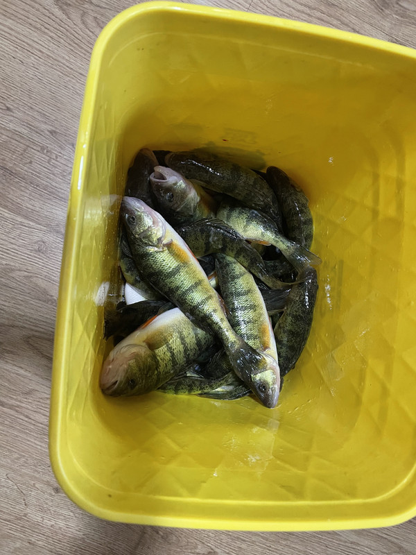 6C7783BF-4795-4713-870D-0051F5348B93