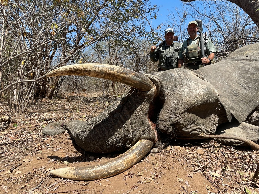 2F8B003B-20D3-458C-8E97-452FD126C6EA