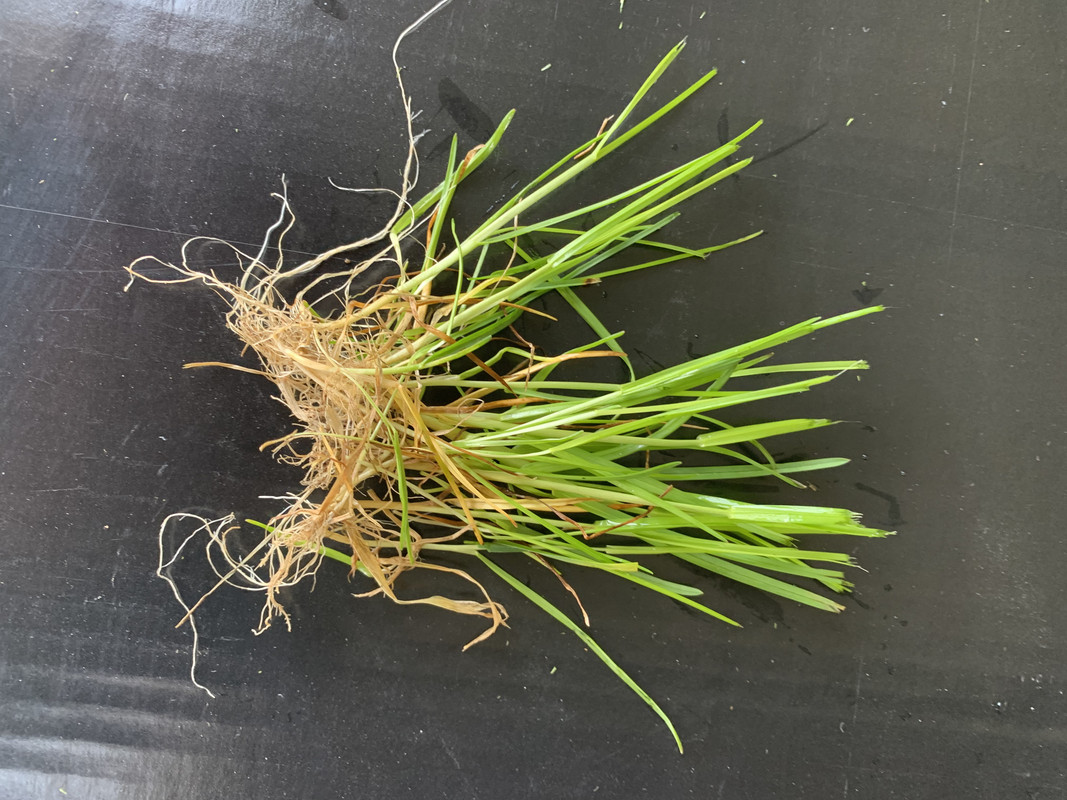 21E95D14-45C4-432E-8C17-E8F57B4C6704