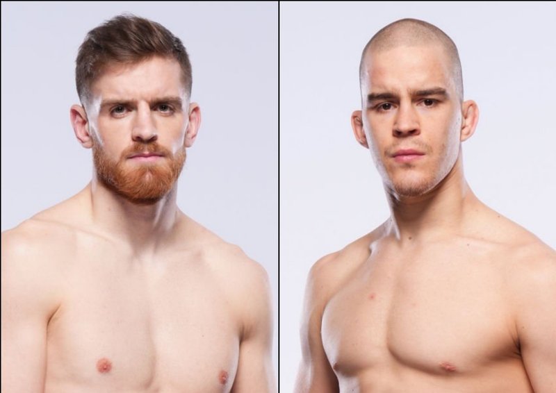 Едмен Шахбазян срещу Душко Тодорович на UFC Vegas 89