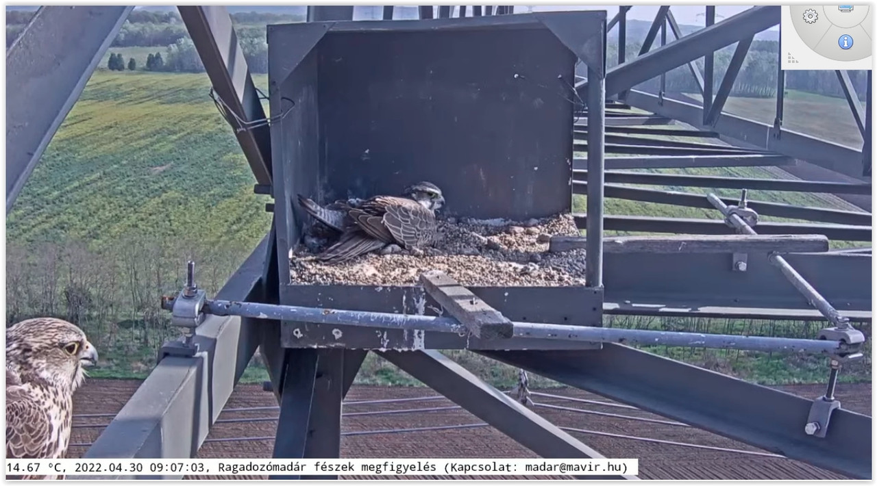 Screen Shot 04-30-22 at 09.07 AM 001