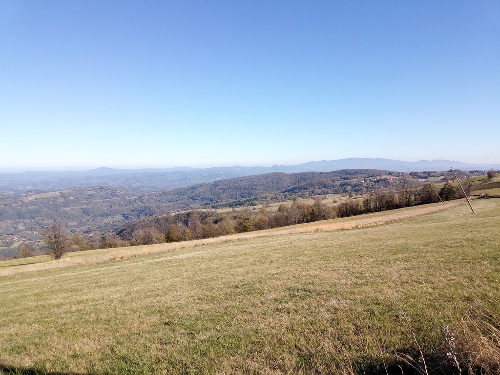 IMG-20231109-115956-2.jpg