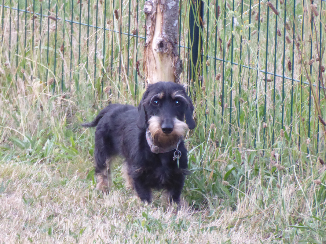 [Image: P1030397.jpg]