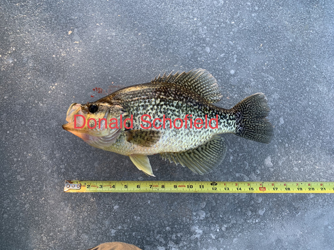 43454280-7E52-4768-8E08-DD5C1059E024