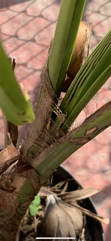 4AFA39F5-A702-4B1B-BC39-BA710F8F7CE8