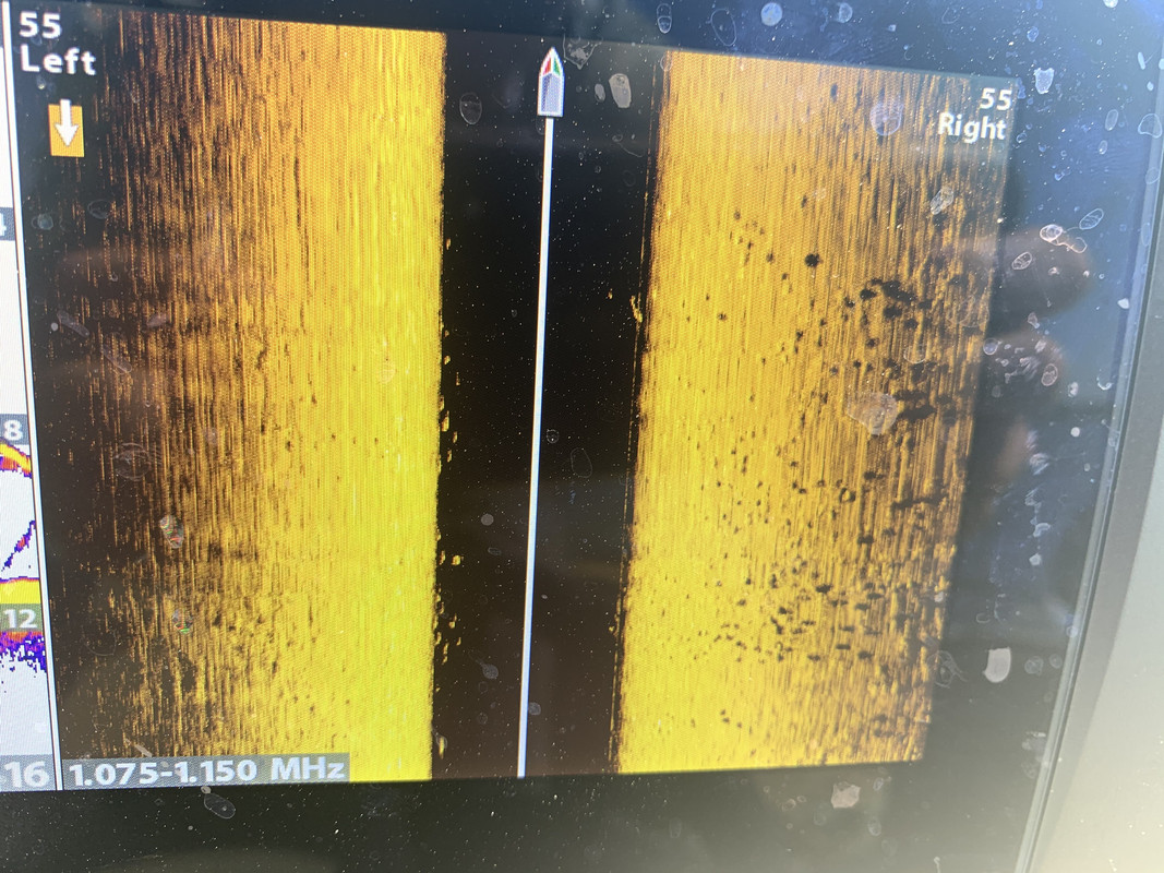 98A2953D-2908-4D5D-BA46-3C6046AA7D13