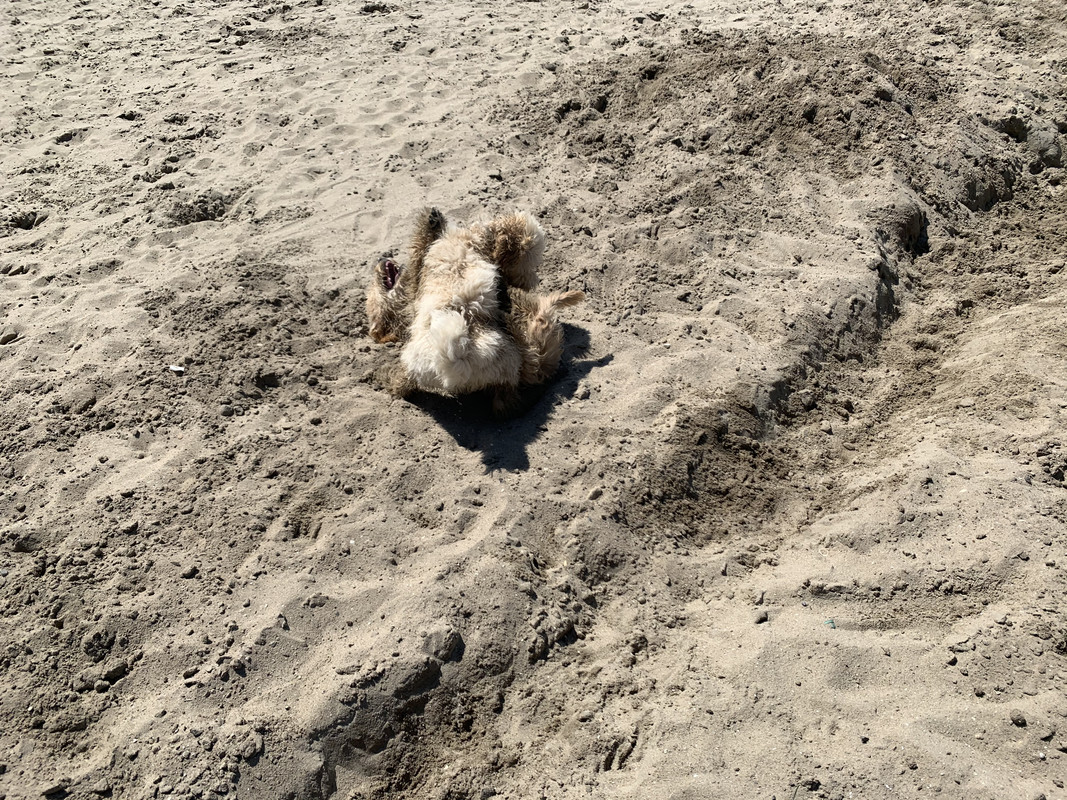 EC5ED555-46A0-4E3C-9CA3-A22EB88DA23E