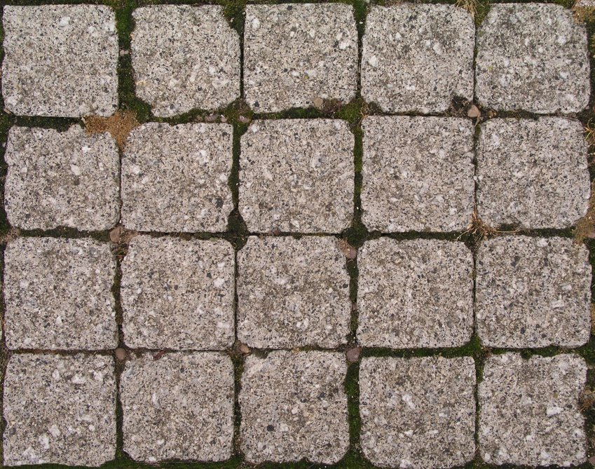 307777_234487933277499_838756454_n