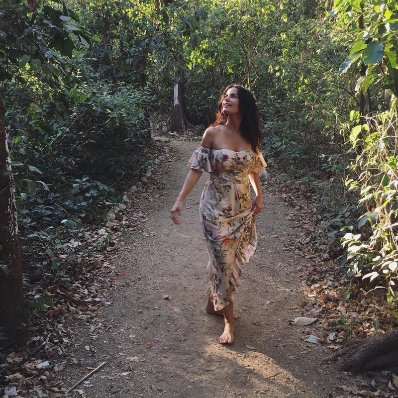 25443213_10156068823569456_5040179867053834115_n