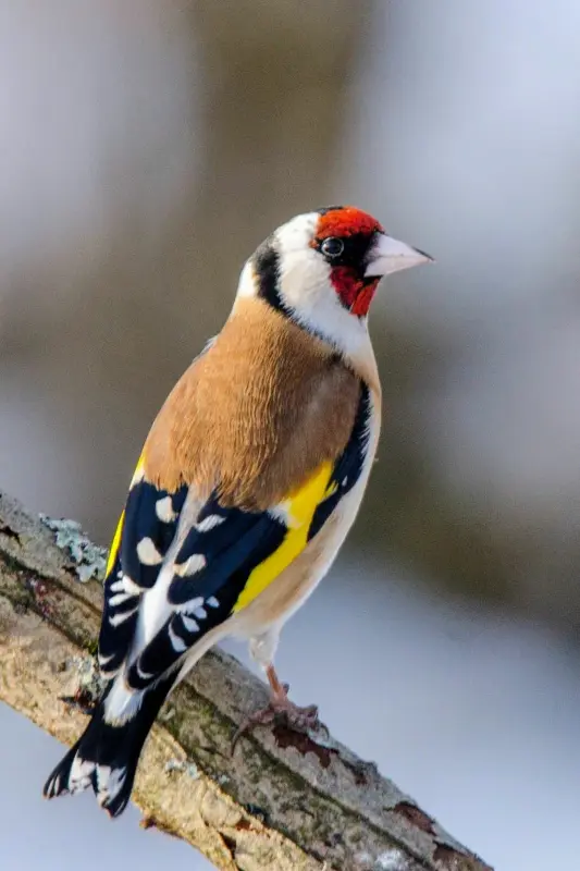 4F9B1D62-BBE3-473F-A82C-E9711E1259CA