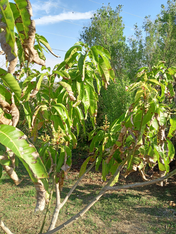 IMG_20250222_091446742_HDR