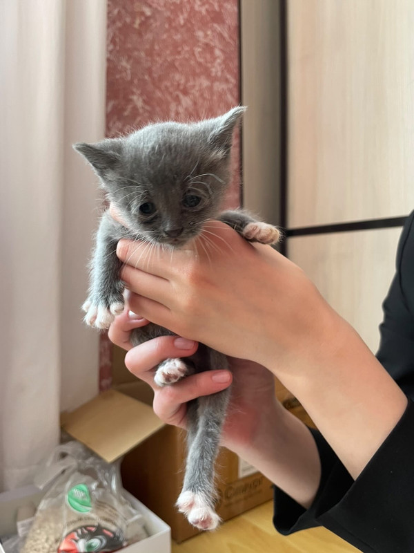 B94A8BB9-9B1B-478D-AF47-CCCC55A25313