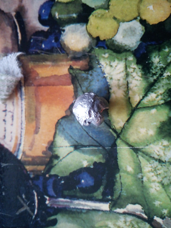 IMG_20250509_152425_956