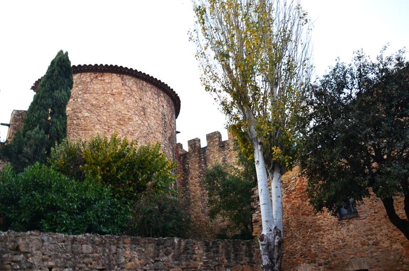 VULPELLAC-21-11-2017 - Gerona y sus pueblos-2016/2017 (5)