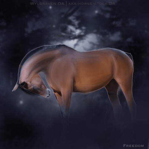 F381F070-6386-47B1-8DD5-07A1D6969C17