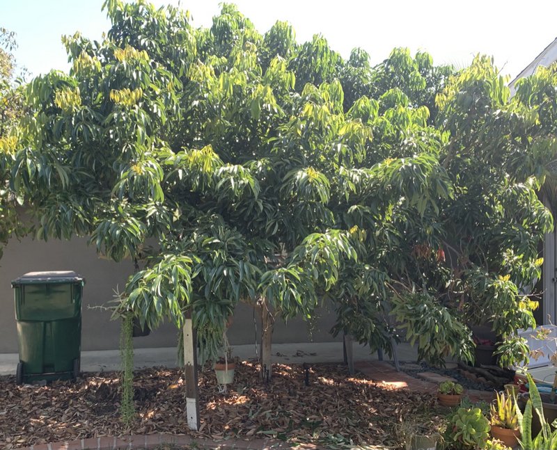 41CECF56-D800-40CE-9145-7F9BB3A43B72_1_105_c