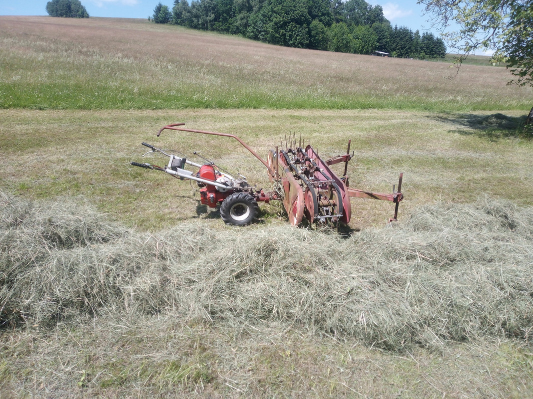 IMG_20250620_143602961