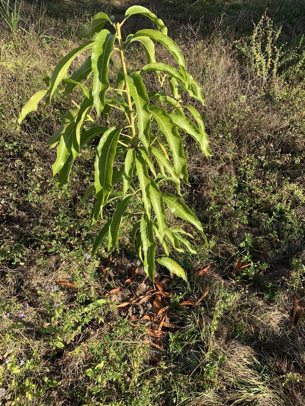 7BF426CC-6A2C-4A23-971C-0E6C88CCA469