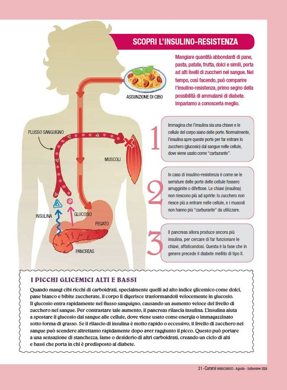 Cur Mang Ago-Set 2024 (2)