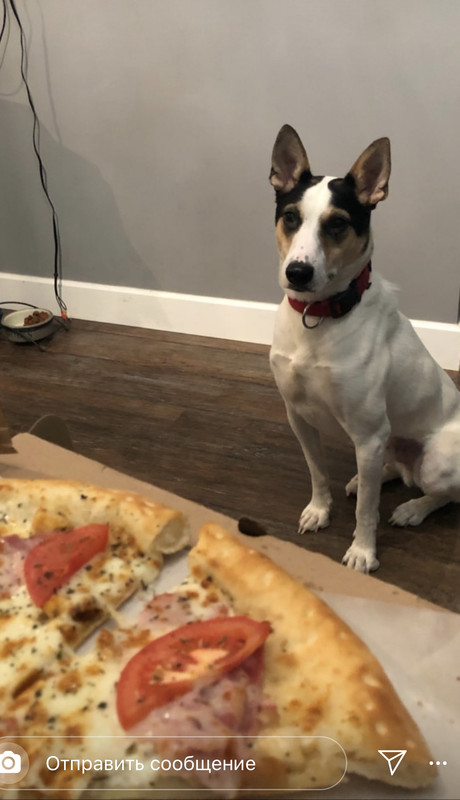 81BE7FE4-42B5-48AE-895C-AD9132E4E12D