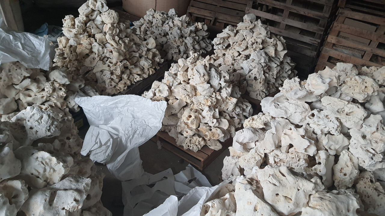 52A3457E-D2D9-4C6E-89FF-FF61B194F9C8