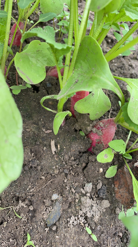 0940D57D-CE33-40CD-9C6B-A0F0FDBB9D89