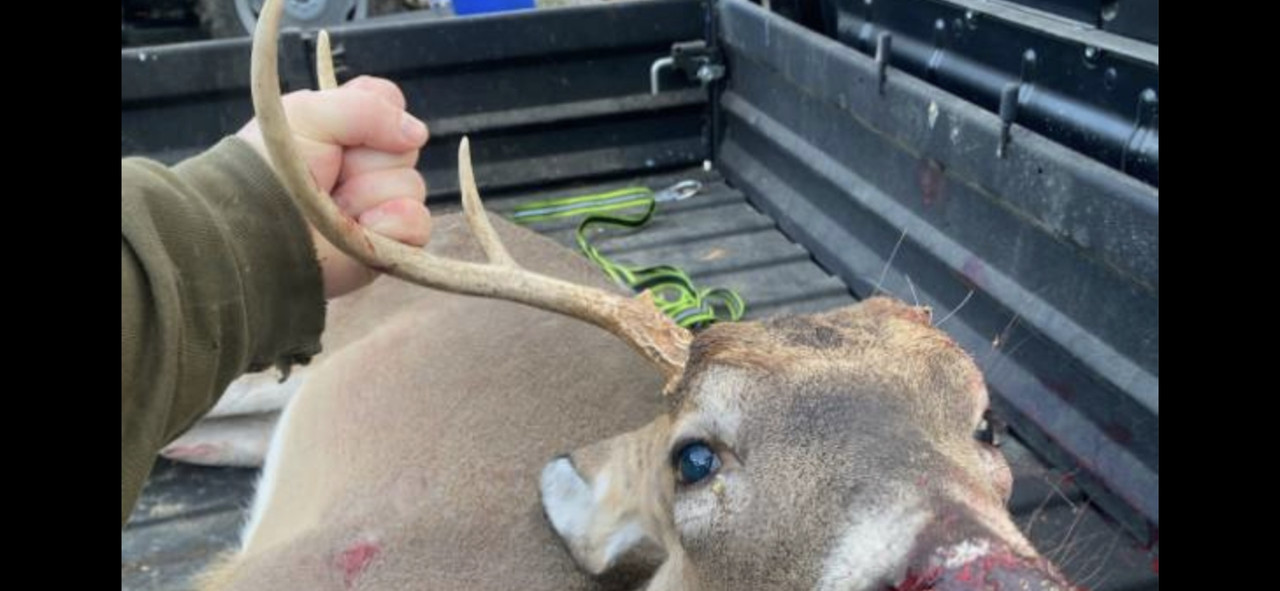 Screenshot_20250124_100136_Gallery