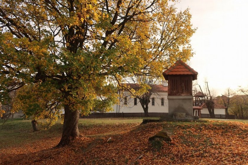 Arandjelovac2019