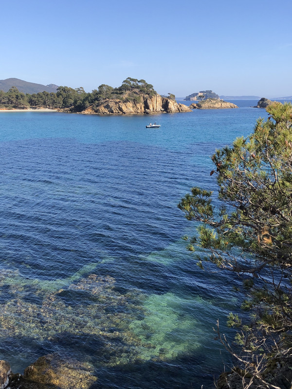 36E6EEC4-0225-4D80-8DD3-5F10E5827BFE