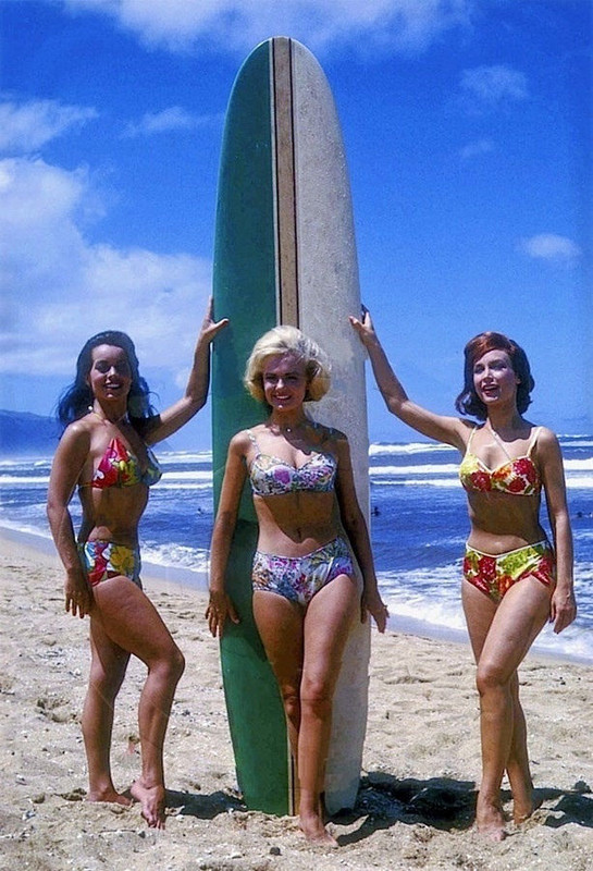 shelley_fabares_c17