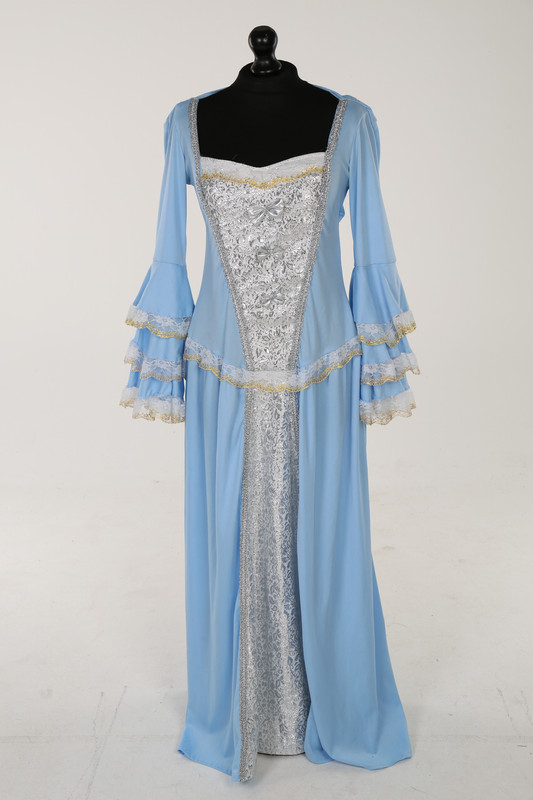 Blue And Silver Royal Dress - Adult 10